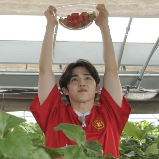 cookscoups